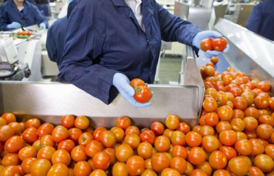 從田間到餐桌 農副食品加工業的內涵、現狀與未來展望